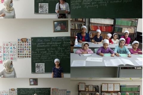 Картинка